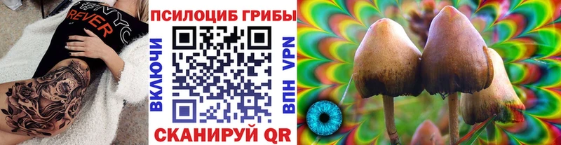Псилоцибиновые грибы мухоморы  Эртиль 